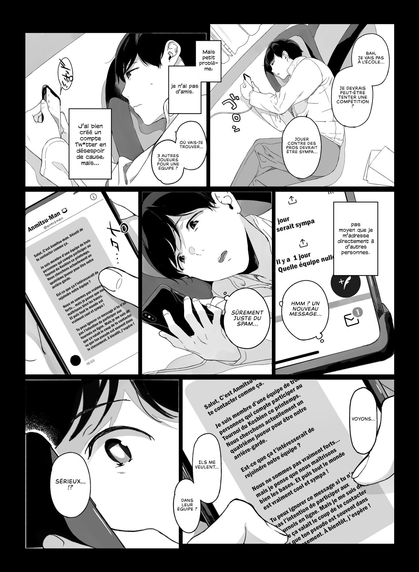 【フランス語版】げーみんぐはーれむ