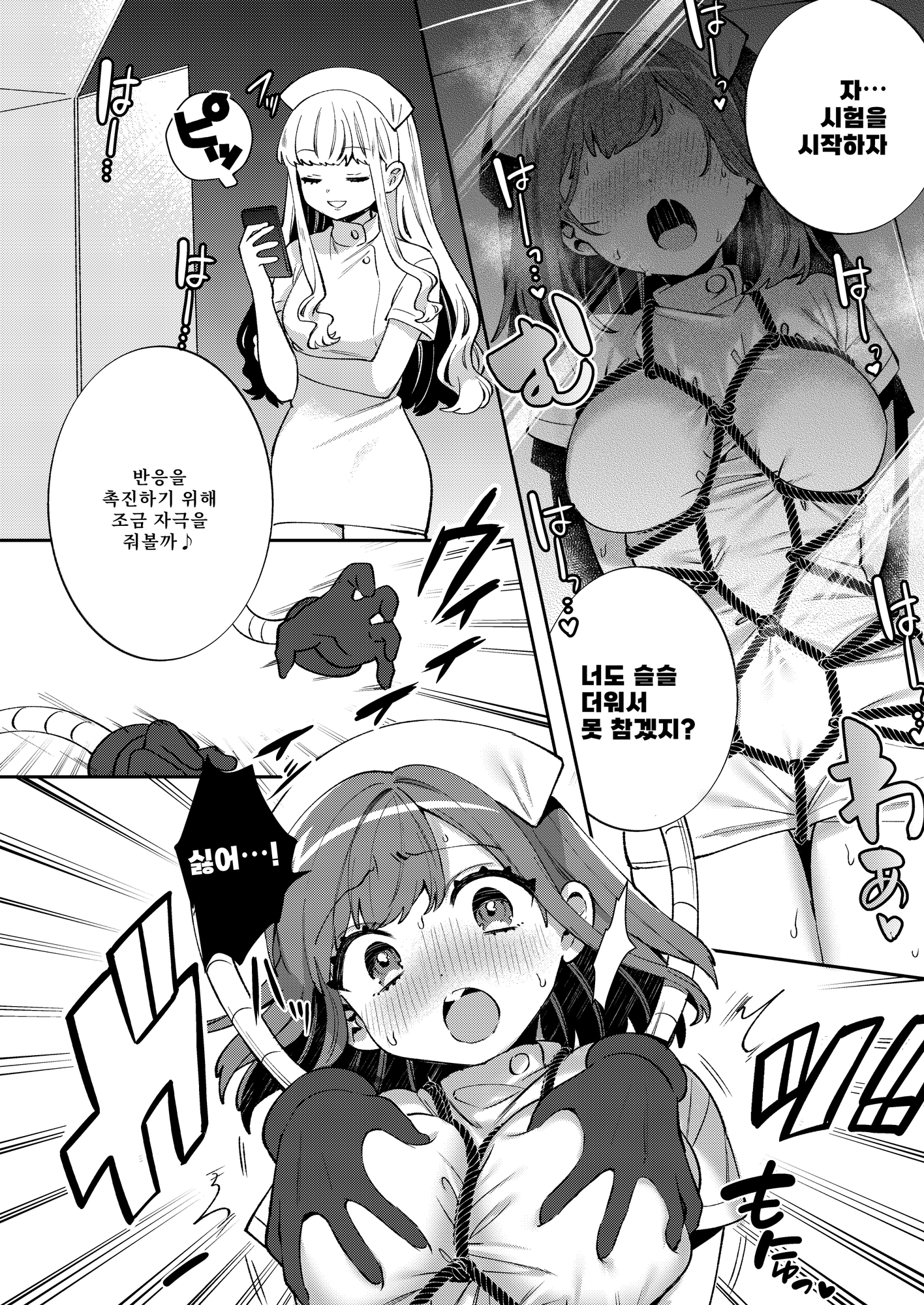 【韓国語版】梱包少女11