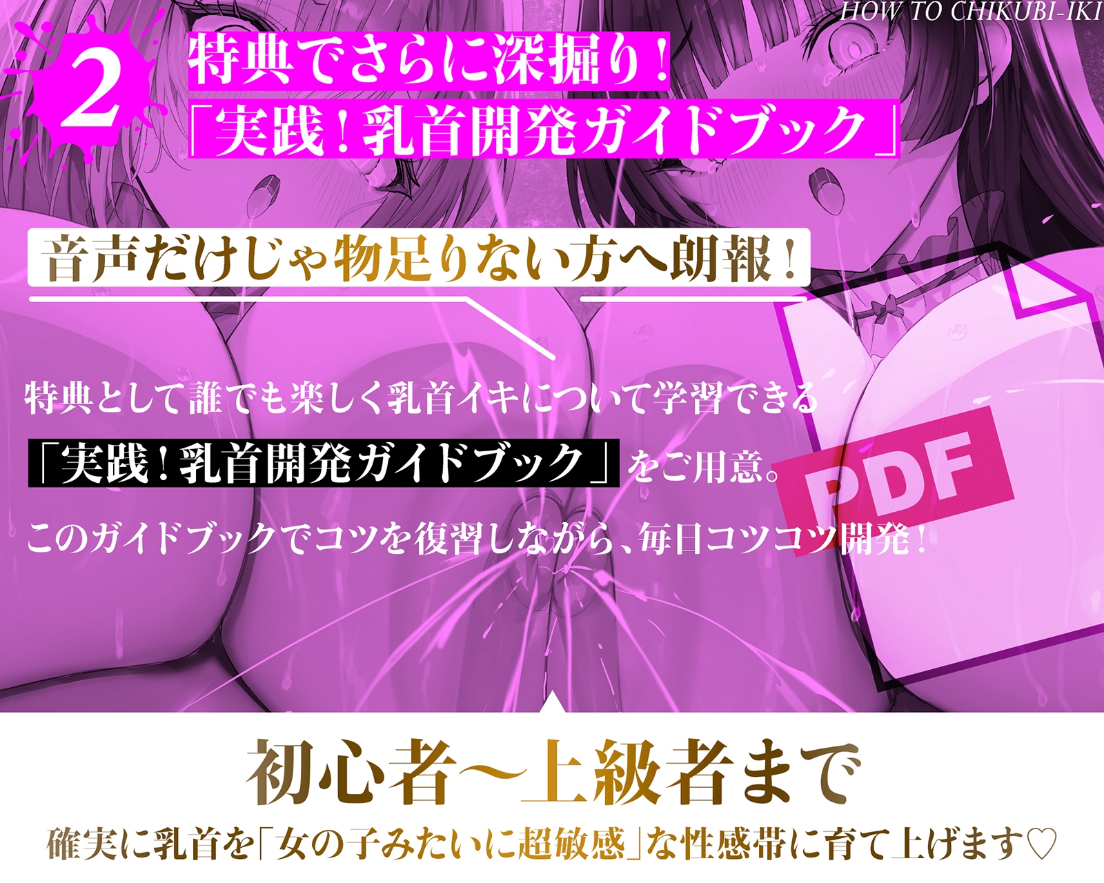 乳首で【イク】！メソッド」～初心者から上級者まで本当に誰でも乳首でイケる『実用』開発メソッド完全版