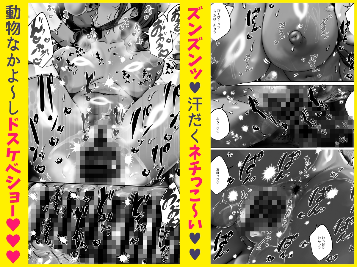 女体化ドバイヤギの動物なかよしショー