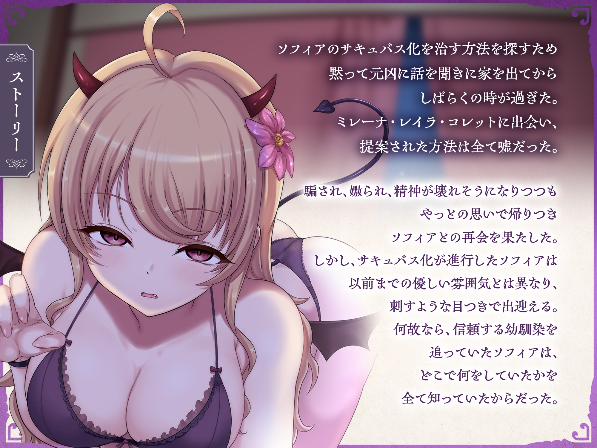 サキュバスクロニクル ～ソフィアの願い～