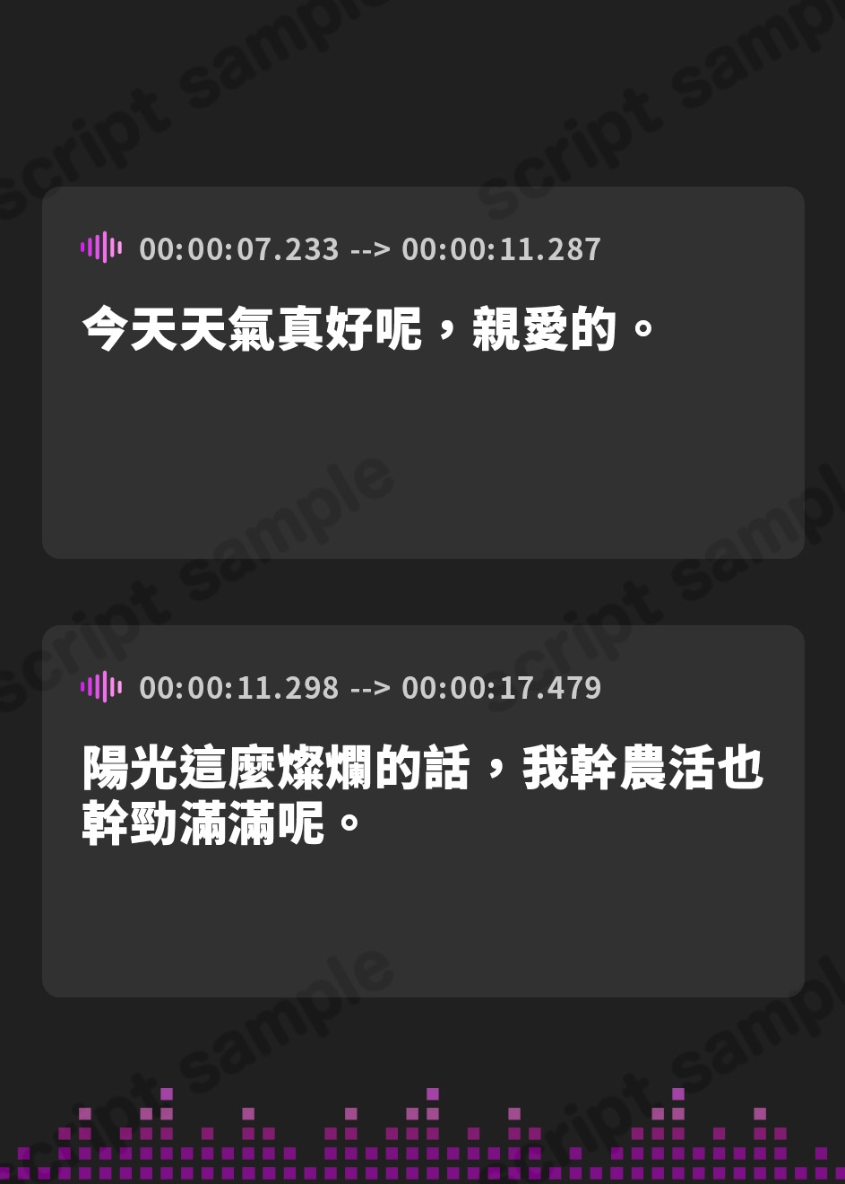 【繁体中文版】【NTR/寝取り】新妻エルフ リンリアの愛妊淫療 ～ランドガルト城下町の寝取られ診陵館～