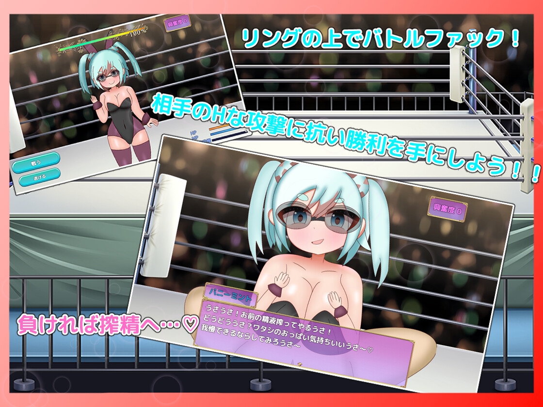 戦闘逆レ○プRPG エルシフィアファイト