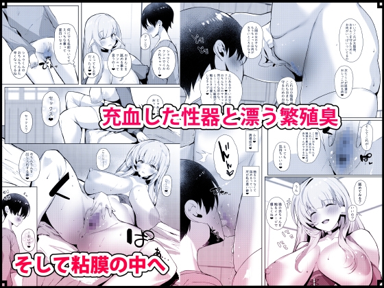 童貞好きの旅エルフ