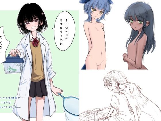 Silveredsteel&らいどないん 公開絵全部パック vol.07 (2025年下半期)