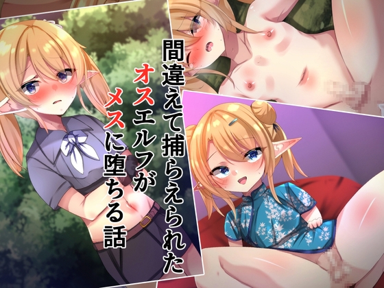 間違えて捕らえられたオスエルフがメスに堕ちる話