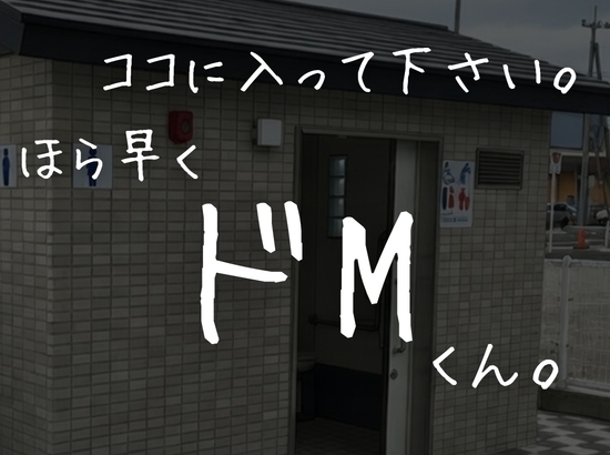 職質された瞬間、人○終了。〜美人婦警から公衆トイレで逆レ○プ?地獄に堕ちた夜〜