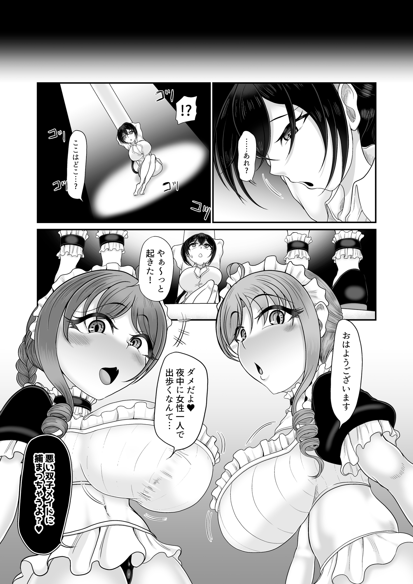 人格排泄メイド～双子メイドに堕とされて～