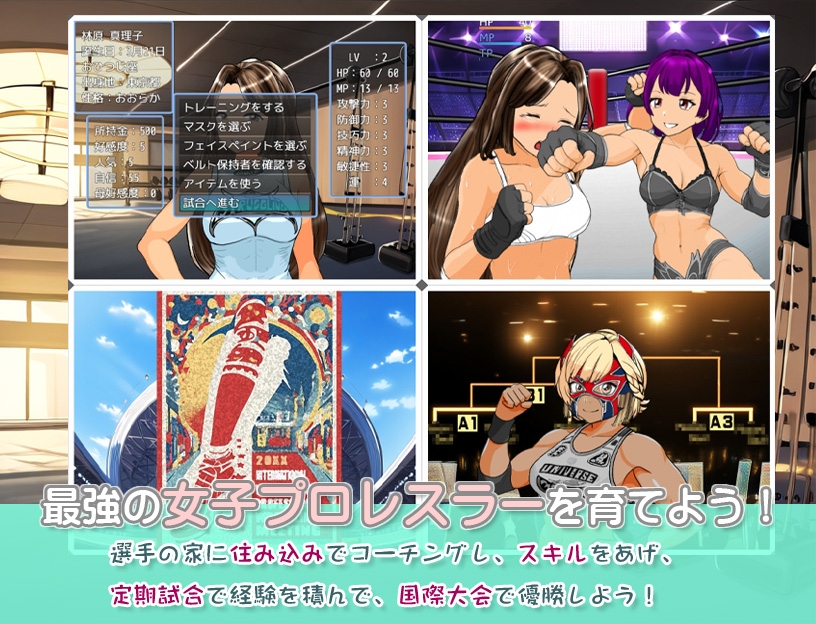 学園地下女子プロレスシミュレーションゲーム『どきどき☆デス・マッチ3～俺の生徒がこんなに強いわけがない?～』