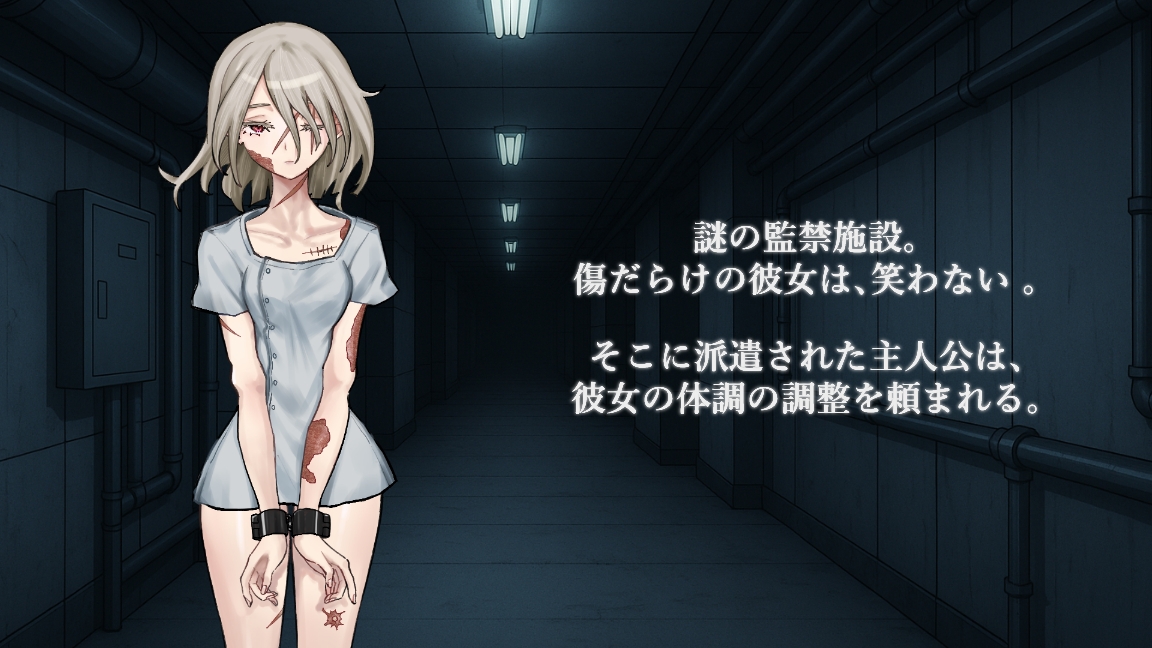被検体シスー監禁施設で傷だらけの彼女を救う純愛記録ー