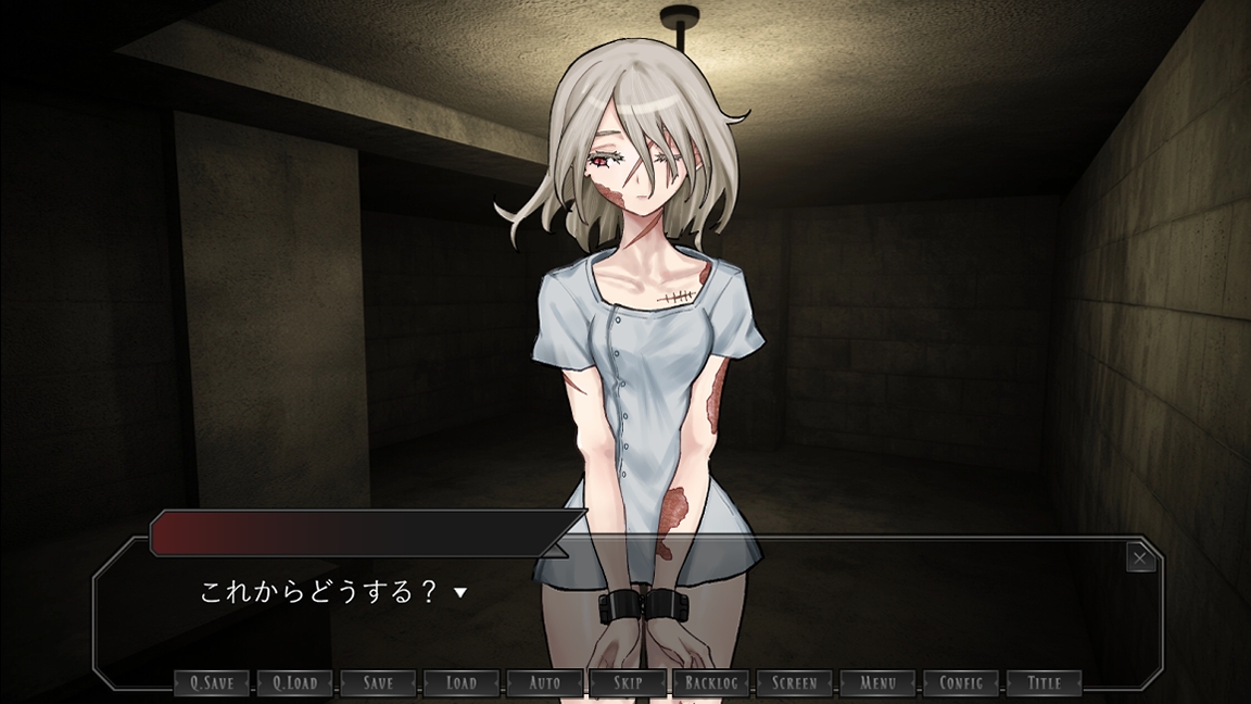 被検体シスー監禁施設で傷だらけの彼女を救う純愛記録ー