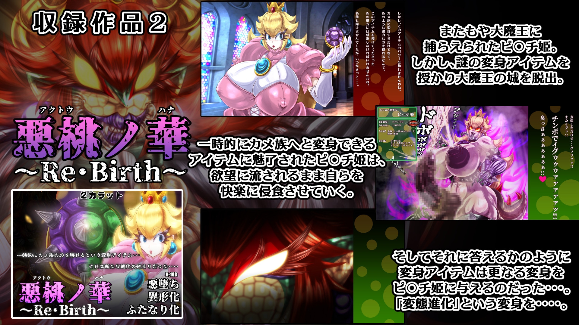 姫亀怪改 弐 -亀桃姫シリーズ総集編2-