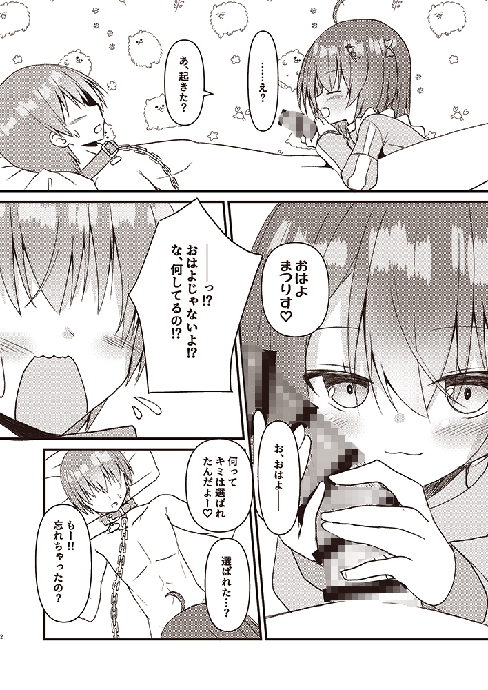 まつりす、飼います