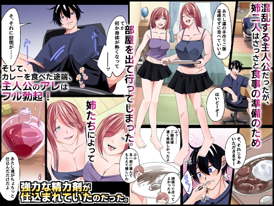 ブラコンのお姉ちゃんたちと。双子の姉たちが大事に取っておいた処女を貰って欲しいと誘惑してくる最高の夏休み！