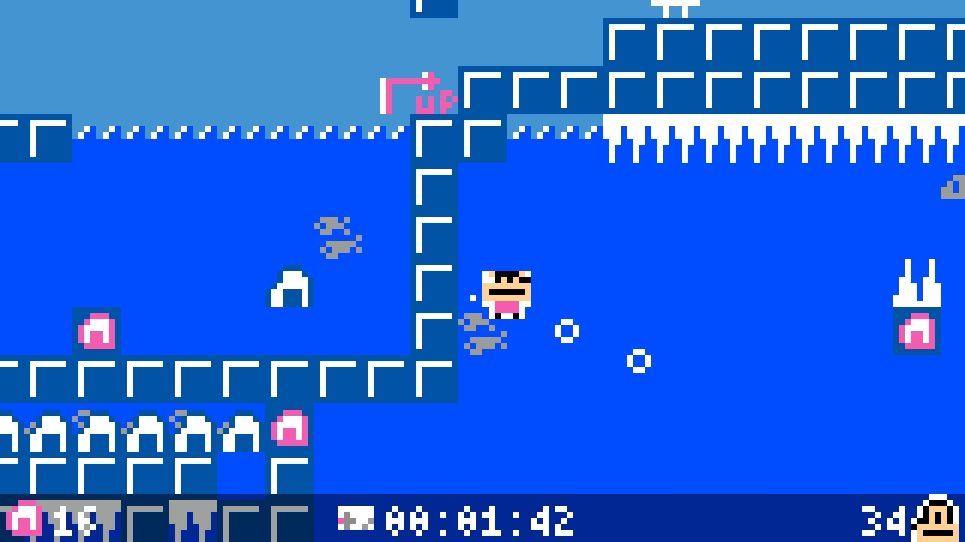 わわねこのしま