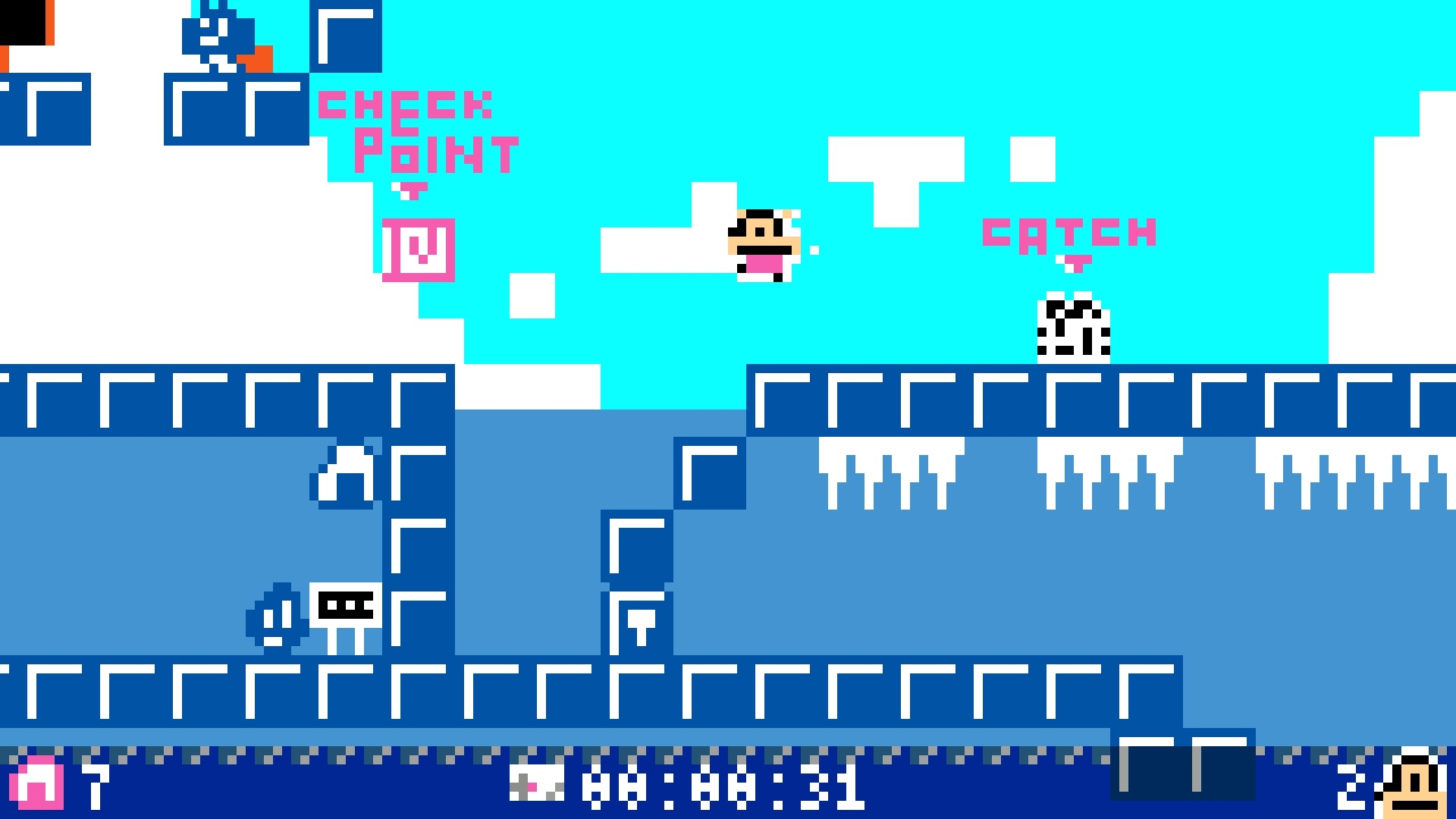 わわねこのしま