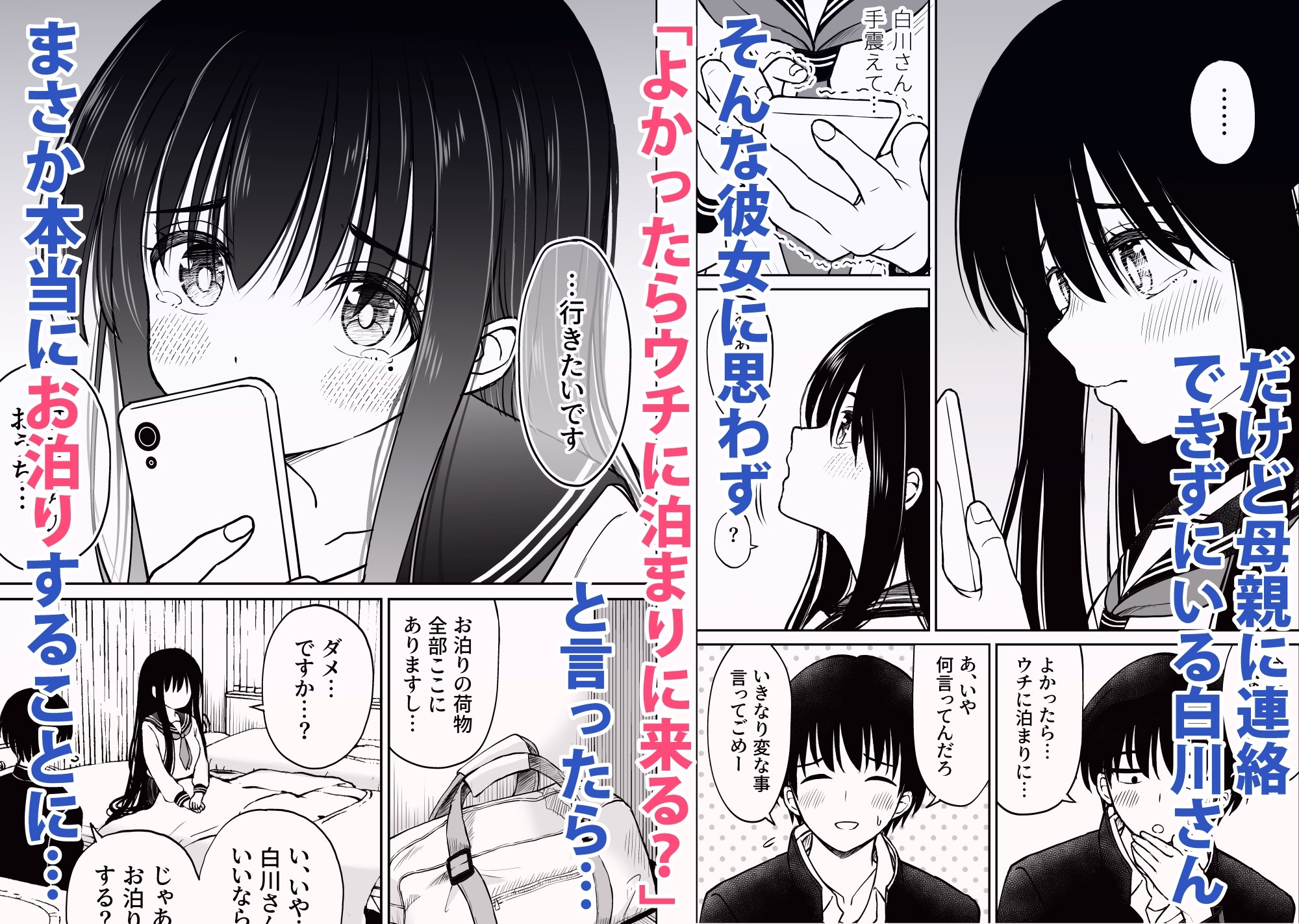 裏修学旅行日記〜青春できない僕らの、秘密の2泊3日〜