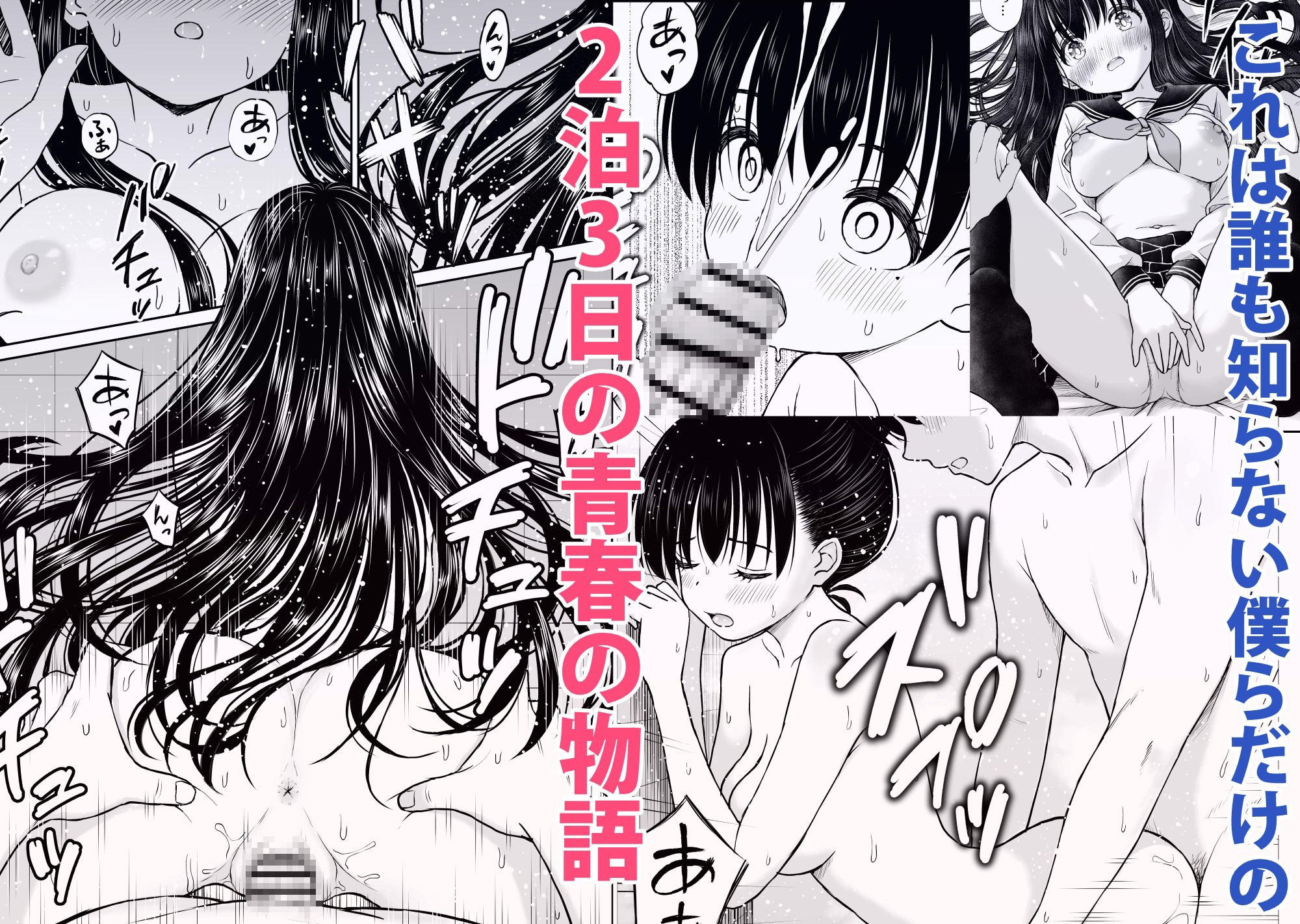 裏修学旅行日記〜青春できない僕らの、秘密の2泊3日〜