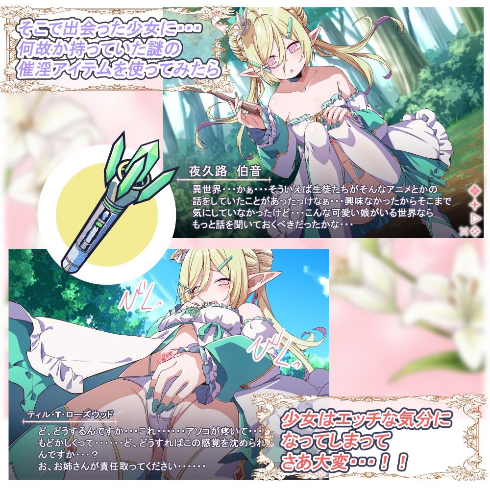 Project Meerverce Series5 つるぺたエルフを襲ってつるぺたサキュバスに襲われるヘンタイお姉さんの話