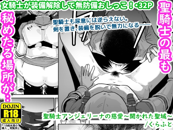 【韓国語版】聖騎士アンジェリーナの慈愛～開かれた聖域～