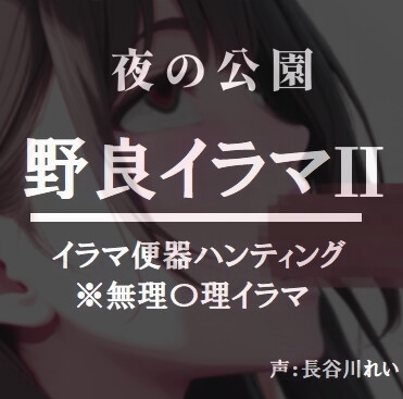夜の公園ー野良イラマ2【夜道はイラ魔に要注意】