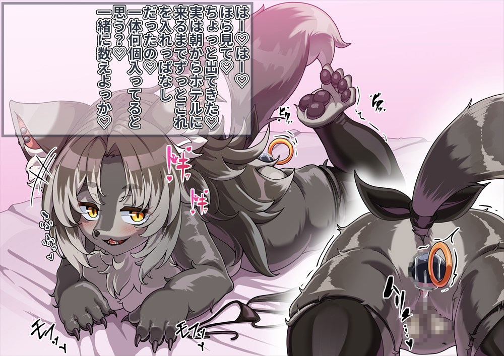 FANBOXバックナンバー2026年2月公開分