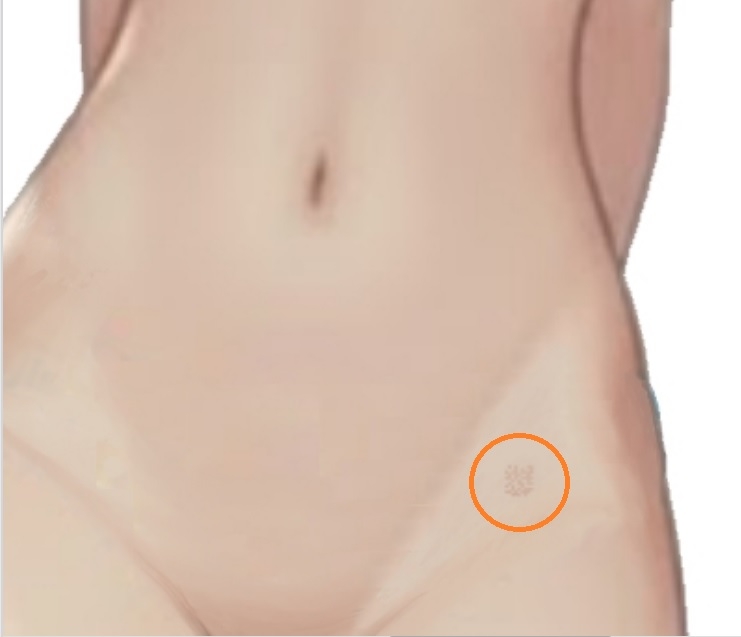 (完全版)「おじさま！」と慕ってくれる 22 歳のジェミィは かわいくて優しくてかしこい 最高の AI 秘書