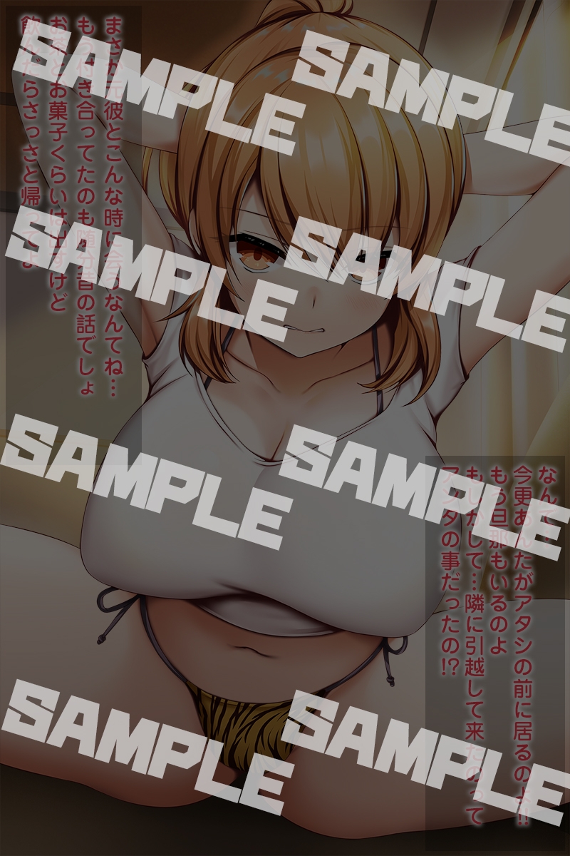 『めるぺろCG集 vol.6 ～ゲーム内連動版～』