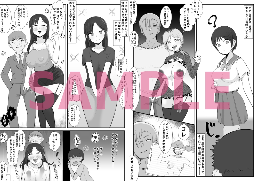 【BSS】ボクは相手にされないヤリマン図鑑