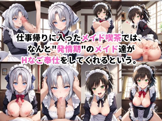 入店注意！発情期メイド喫茶！！～雪○&飛○編～