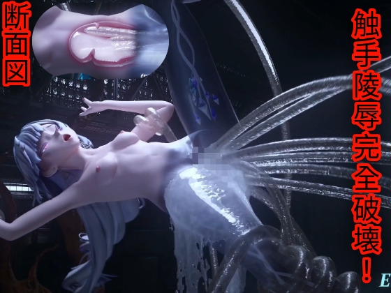 触手 産卵 断面図