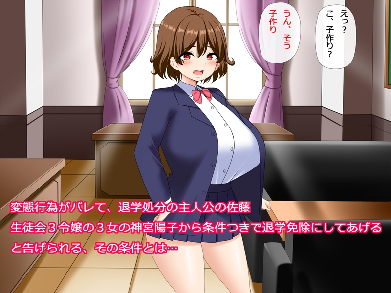 僕は生徒会令嬢の孕ませ担当～孕ませるまでの全記録～