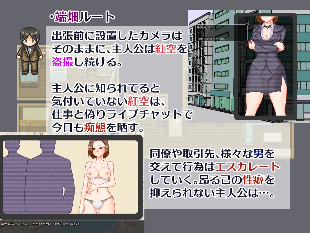 出張 帰宅 妻 カメラ