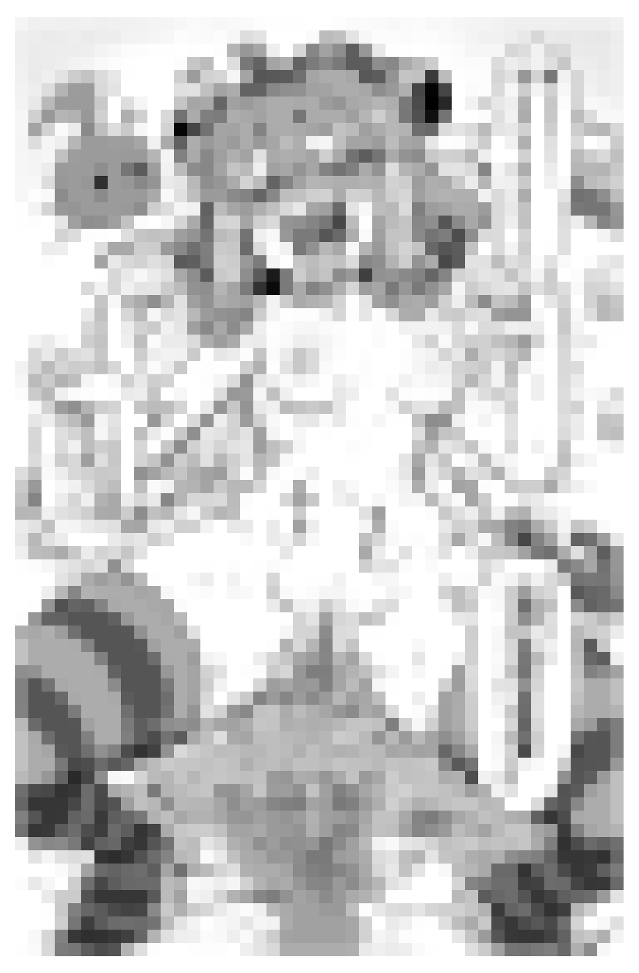 冒涜少女クトゥルフちゃんえちえちペット飼育体験