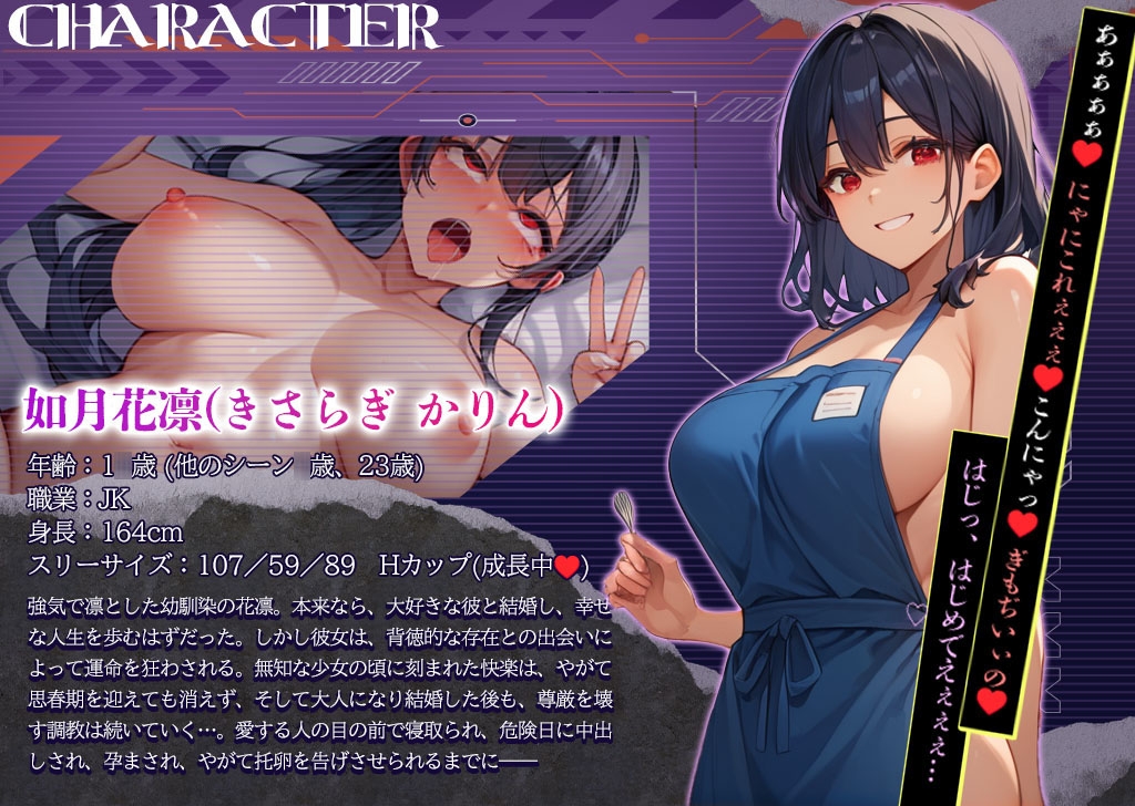 快楽堕ち孕ませ調教録 ～凛とした幼馴染、寝取りの果てに孕まされ続ける～