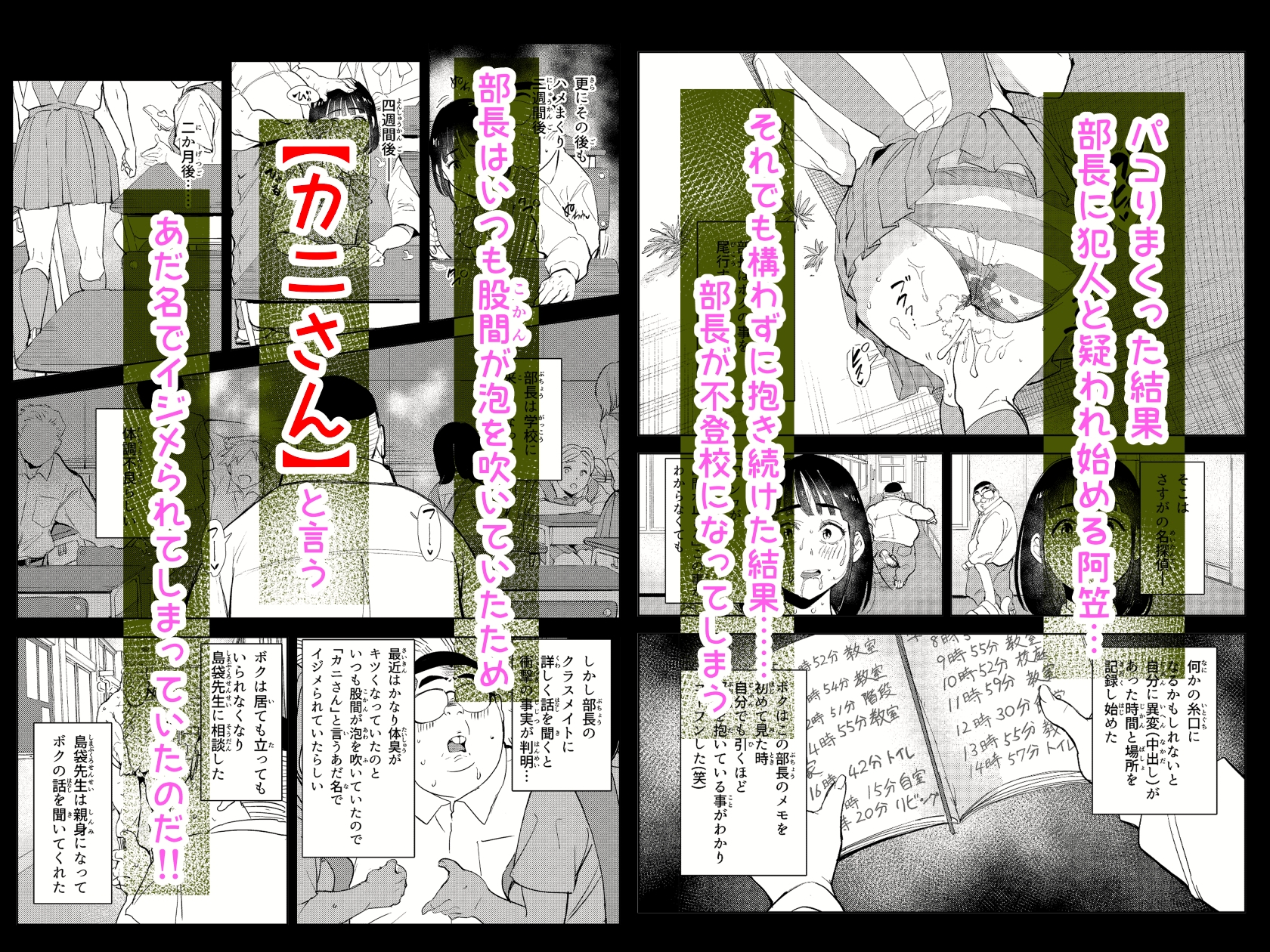 勃ってる間だけ時間停止～即ハメレビューの秘密～