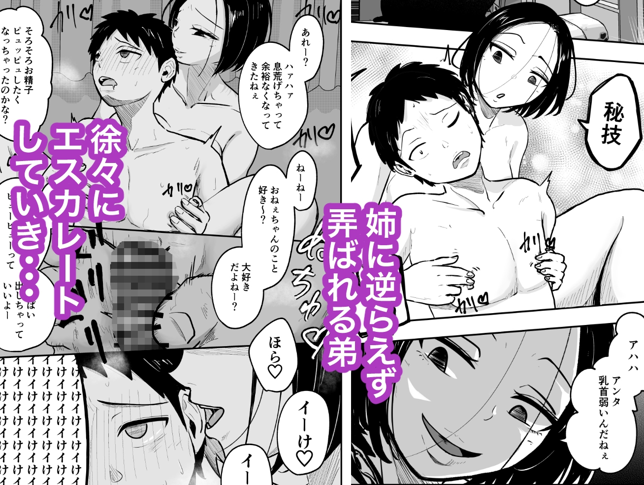 弟は甘々ドSな姉の言いなりオモチャ