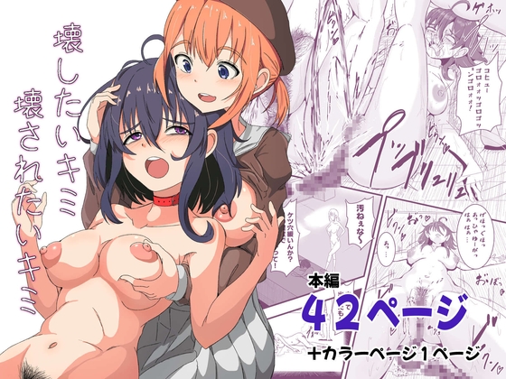 壊したいキミ 壊されたいキミ