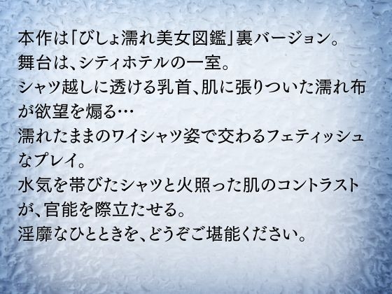 裏びしょ濡れ美女図鑑【ワイシャツ編】 – Preview 3