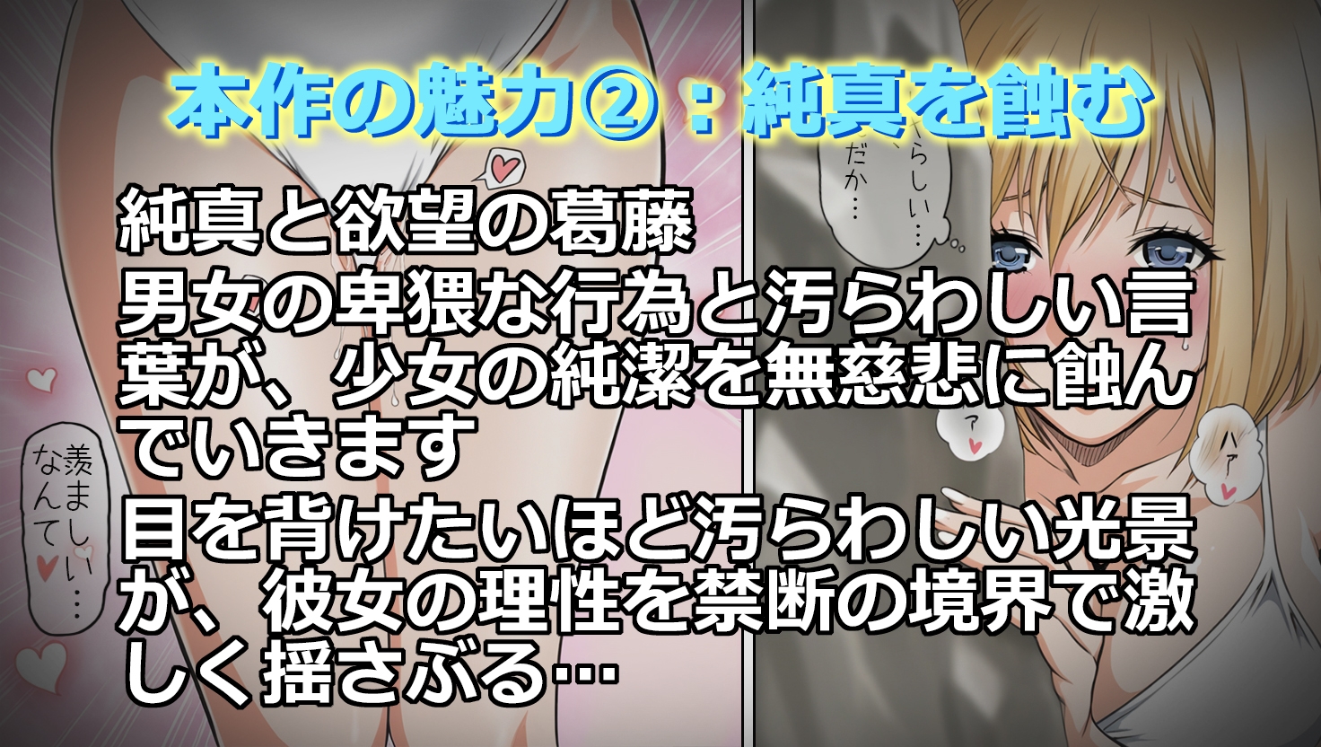 汚された日記(1)