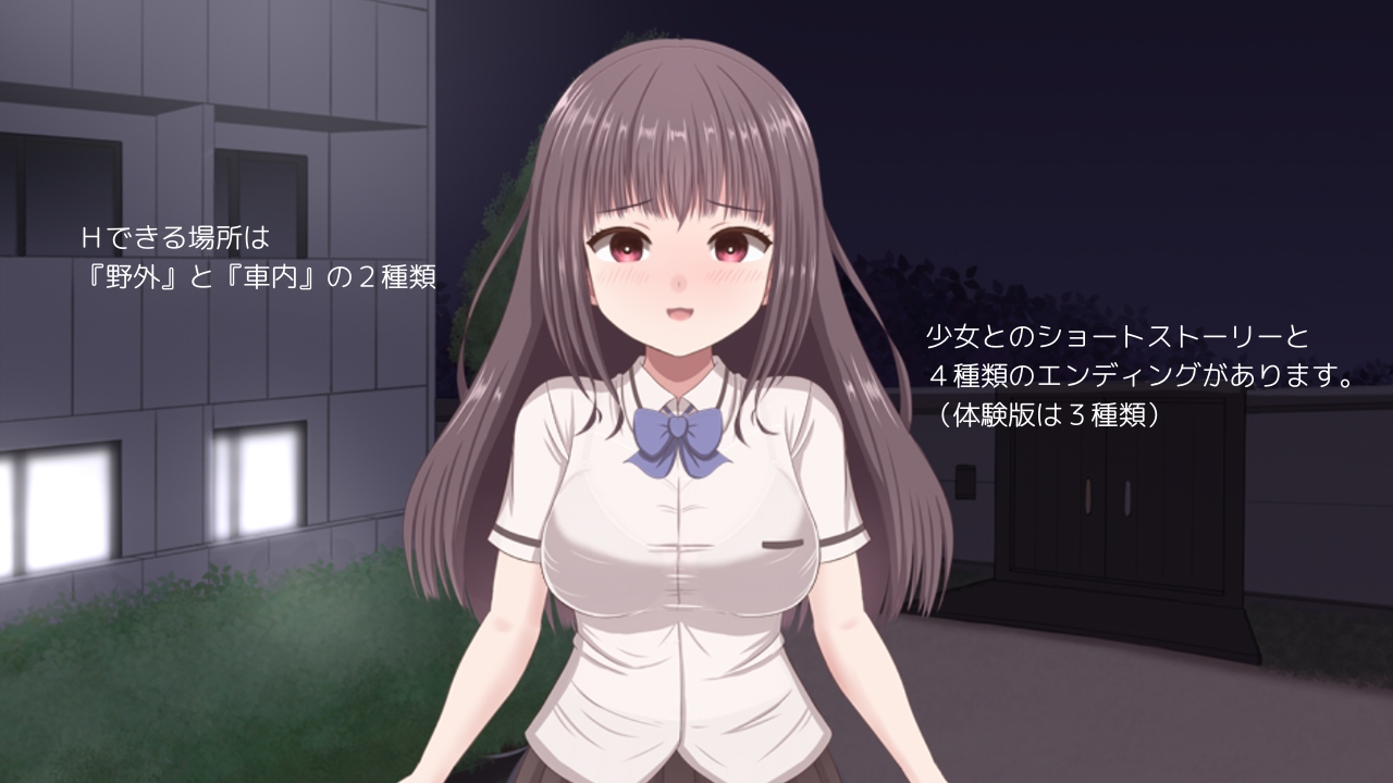 無理やりHシミュレーション～家出少女を凌○～