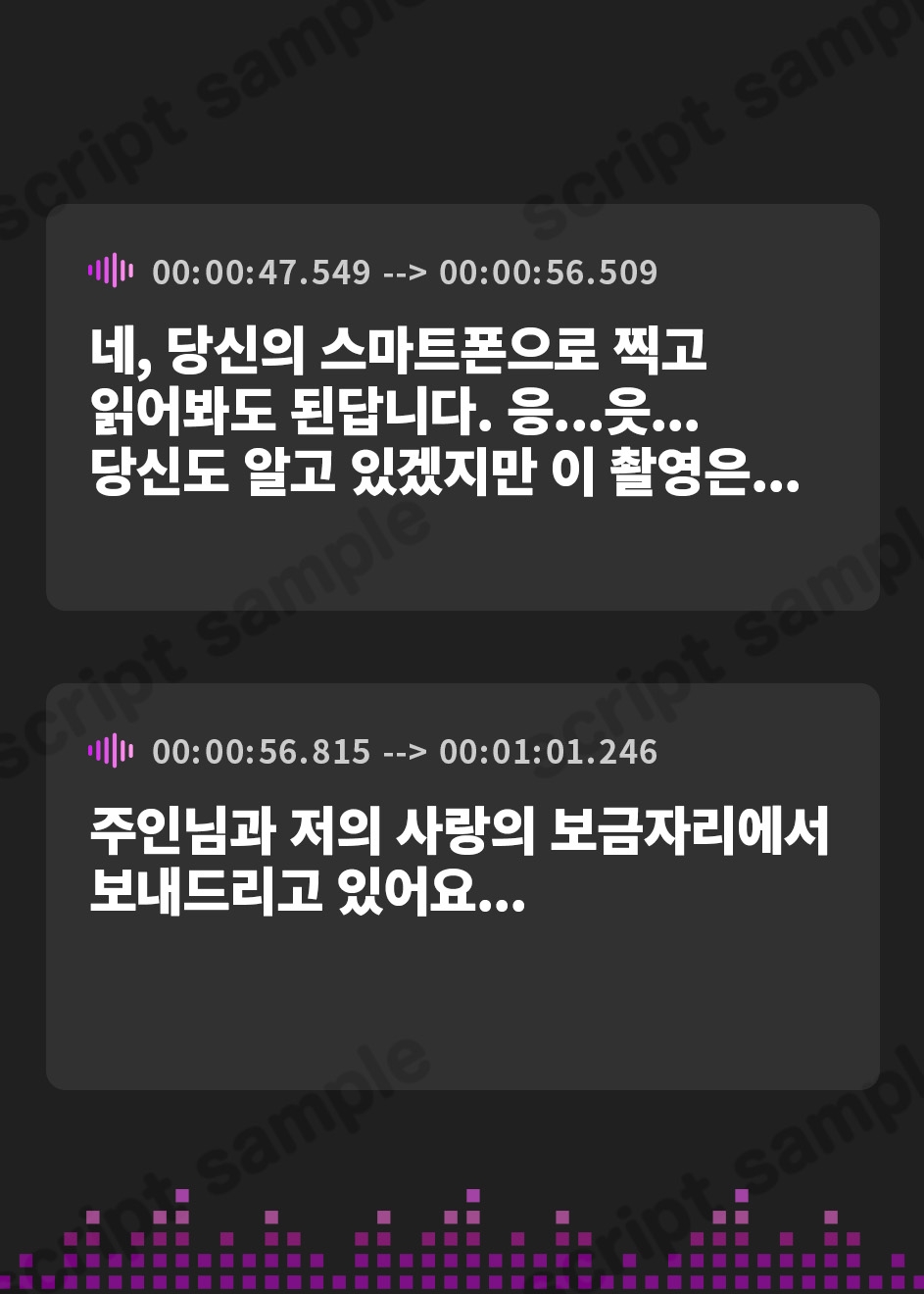 【韓国語版】常識改変ビデオレター 元女優で清楚な若奥様の変わり果てた姿を見せつけられる【NTR/アナル調教】