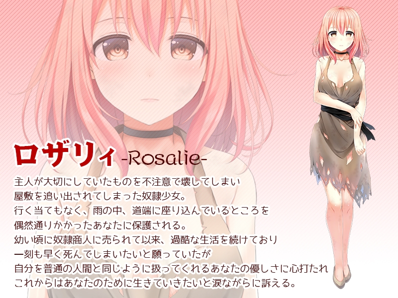 奴○少女ロザリィ総集編 ―捨てられた奴○少女が貴方と幸せになるまでの物語― – Preview 2