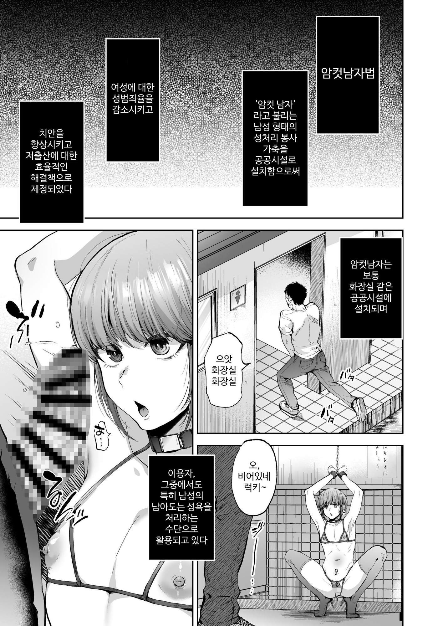 【韓国語版】雌男法 社会に活きる男性型性奉仕家畜