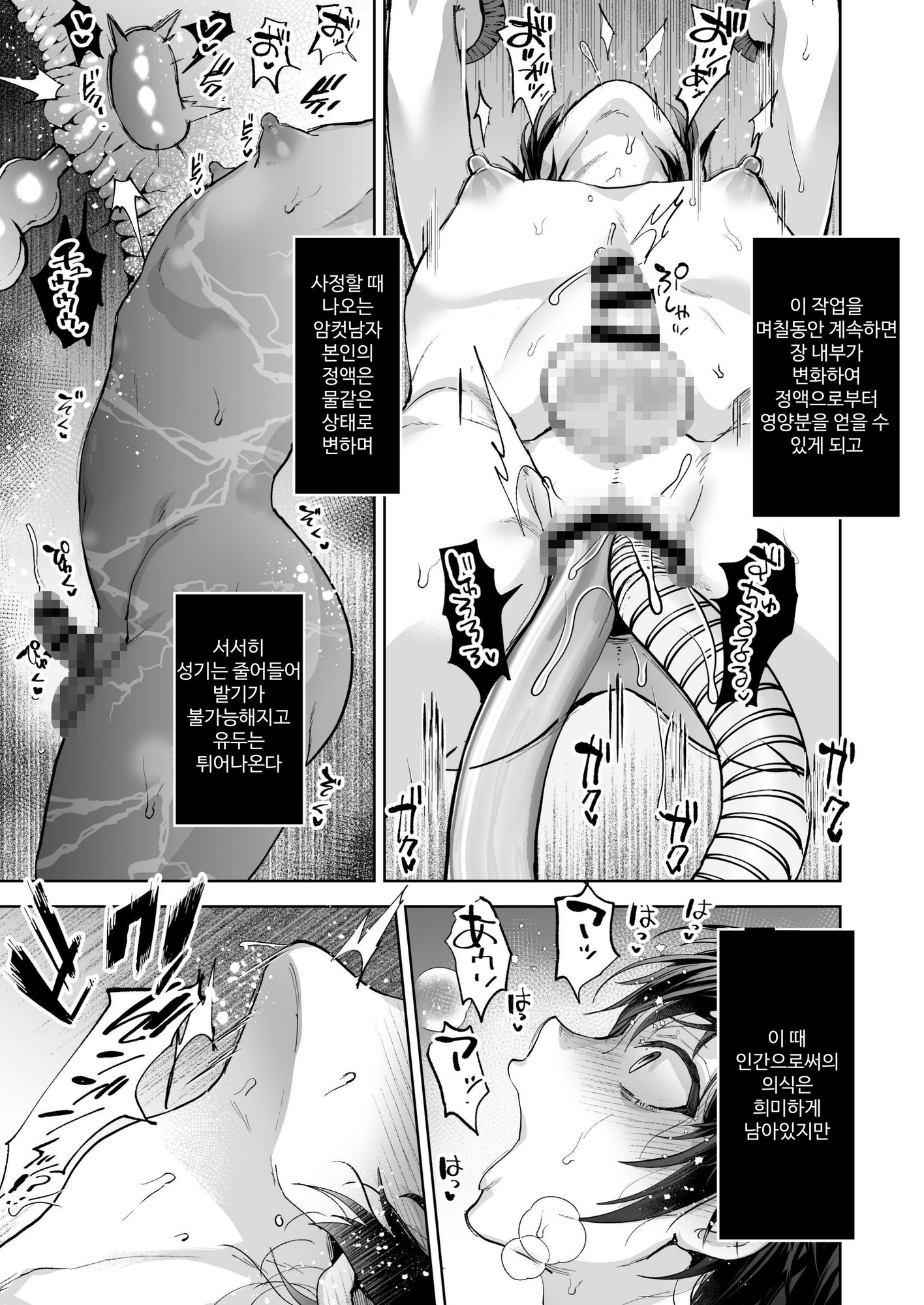 【韓国語版】雌男法 社会に活きる男性型性奉仕家畜