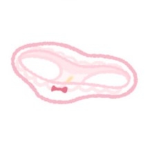 パパとホノカの秘密のおぱんつあやとり