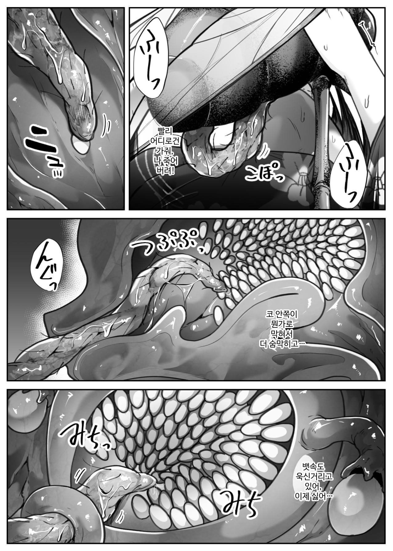 【韓国語版】儚夢