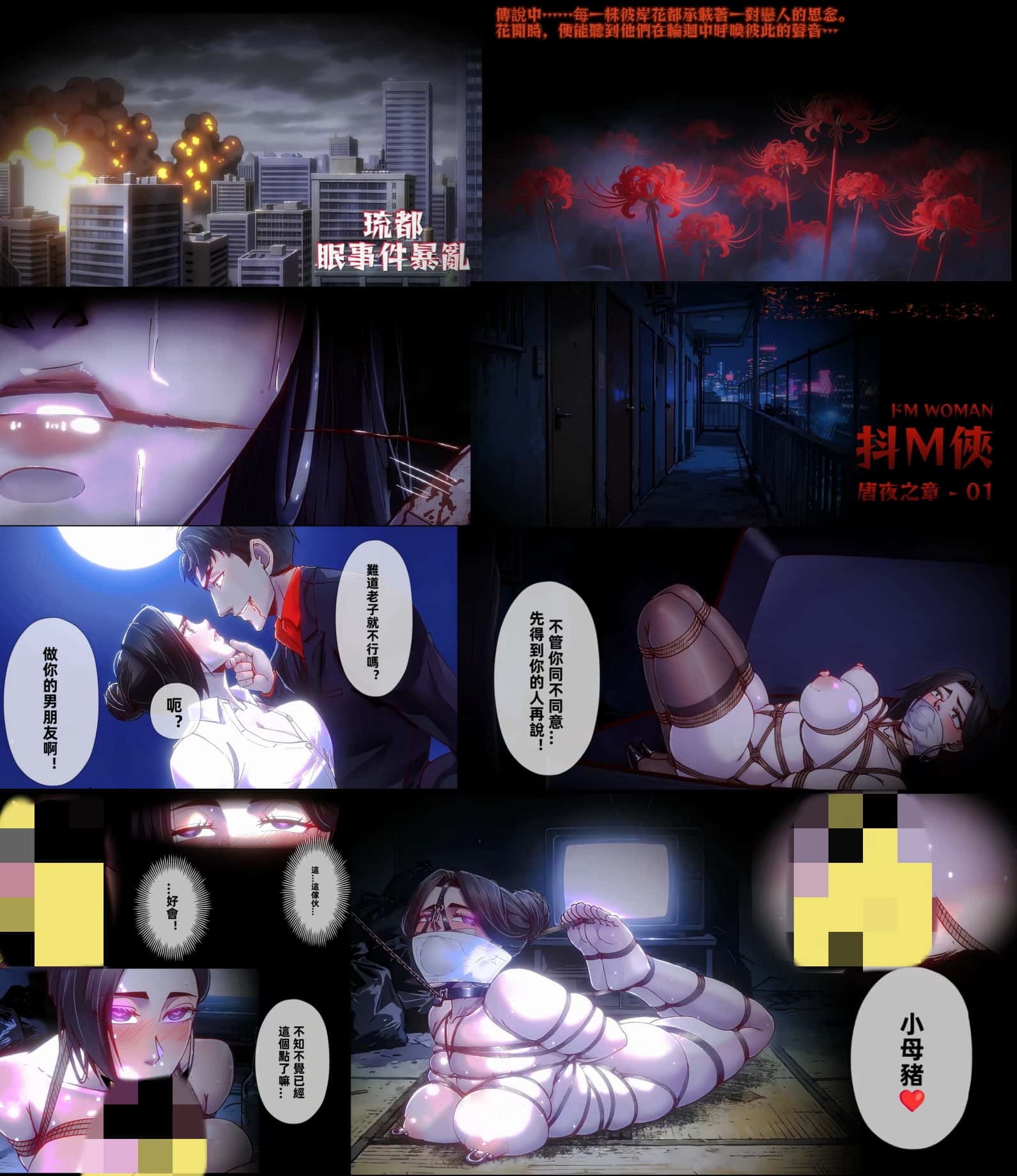 DOMWOMAN-TY01 – Preview 2