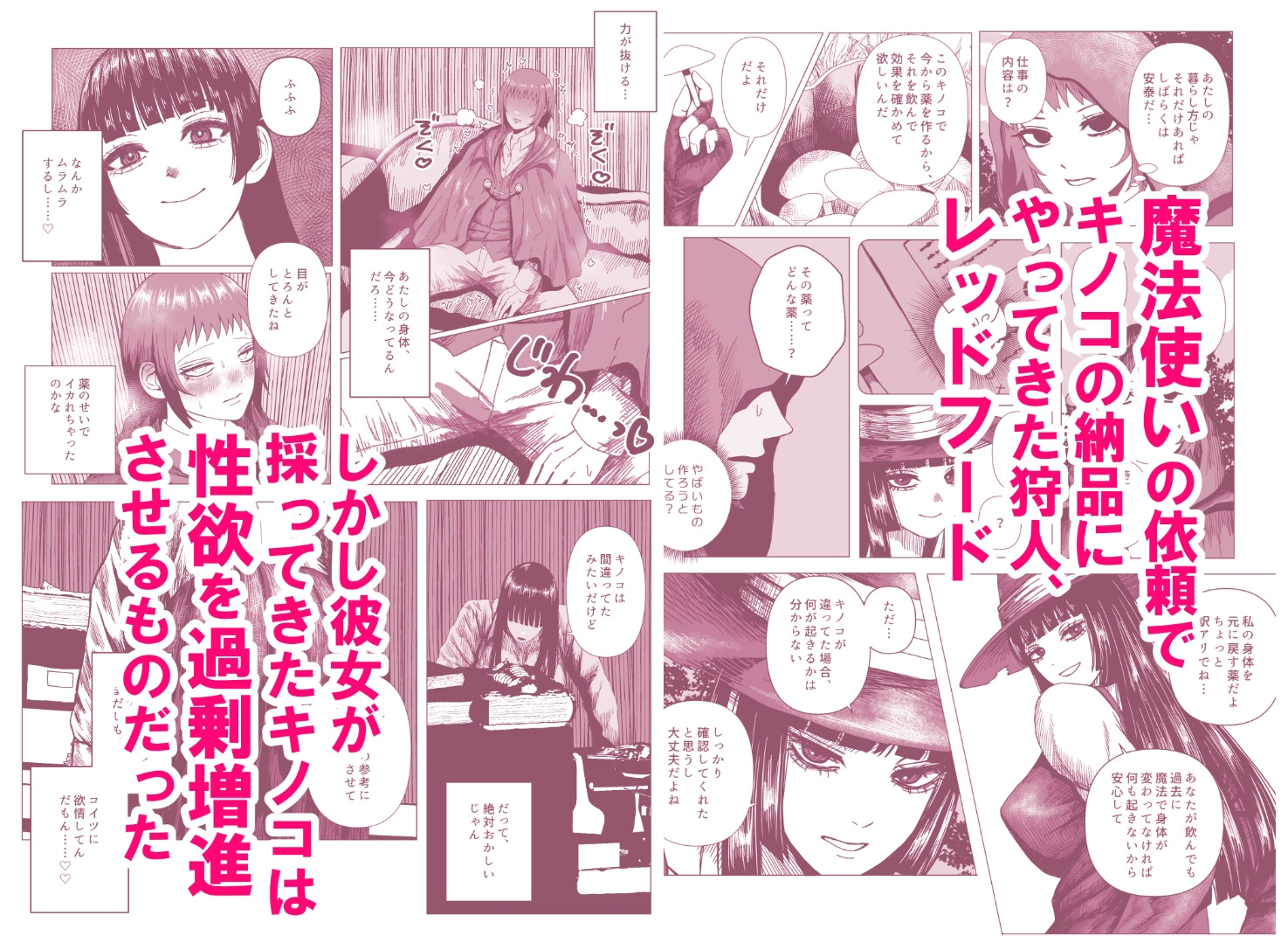 魔法使いの探求心 – Preview 2