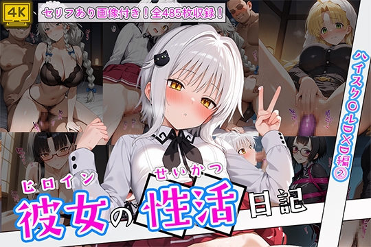 ヒロイン彼女の性活日記₋ハイスク〇ルD×D編2₋